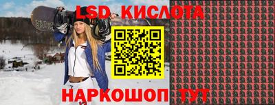 гашик Гусев