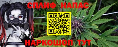 гашик Гусев