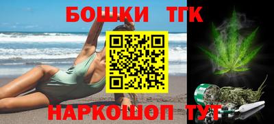 спиды Дубна