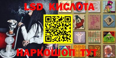 гашик Гусев