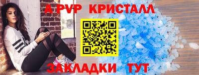 гашик Гусев