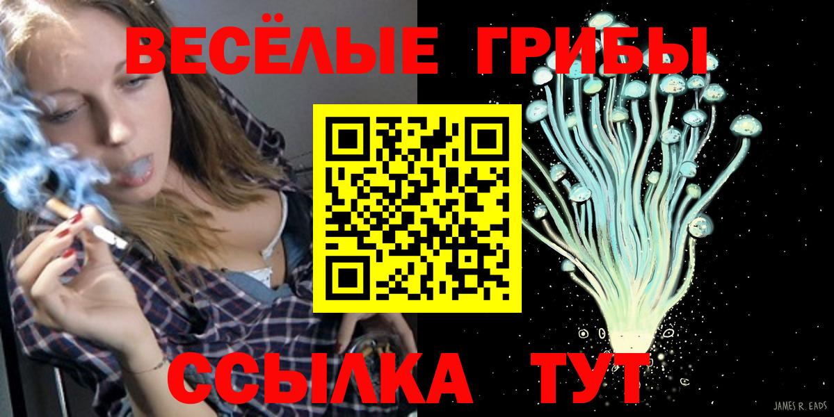 Галлюциногенные грибы Cubensis Миасс