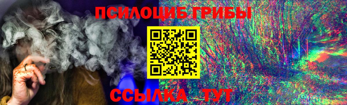 Миасс  Псилоцибиновые грибы Psilocybine cubensis  Вход с VPN 